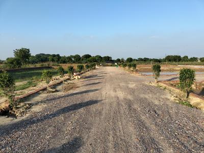 Residential Plot