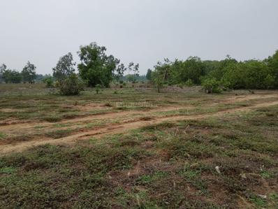 Image of 2178 Sq.ft Residential Plot / Land for sale in Baliapanda Housing Board Colony, Puri for Rs. 5500000