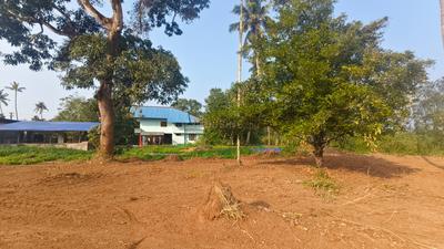 Image of 2200 Sq.ft Residential Plot / Land for sale in Irinjalakuda, Thrissur for Rs. 300000