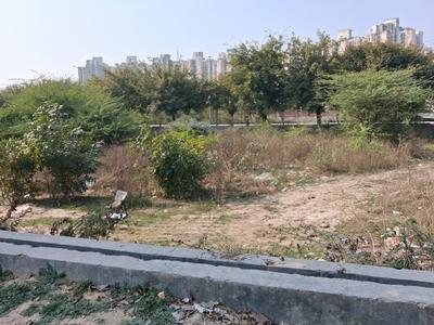 Sector 151 Plot View 3