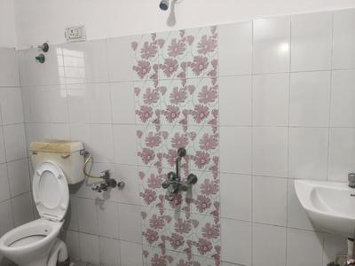 Image of 1745 Sq.ft 3 BHK Villa for rent in DK Cottages, Pallavi Nagar, Bhopal for Rs. 22000