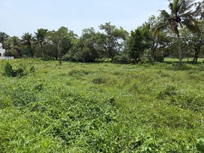 Keralarealty Plot View 2