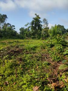 Image of 58806 Sq.ft Residential Plot / Land for sale in Thiruvalla, Pathanamthitta for Rs. 20000000