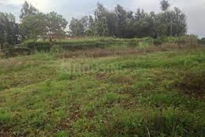 Image of 900 Sq.ft Residential Plot / Land for sale in ASM Shree Jaswant Garden, Sector 14, Panchkula for Rs. 7413200
