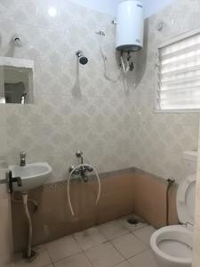 Common Bathroom Image of 890 Sq.ft 2 BHK Apartment / Flat for rent in JP Nagar Bengaluru for Rs. 33000