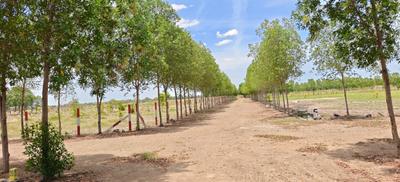 Image of 10000 Sq.ft Residential Plot / Land for sale in Vedanthangal, Chennai for Rs. 3000000