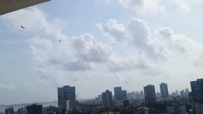 Image of 812 Sq.ft 2 BHK Apartment / Flat for rent in Shapoorji Pallonji BKC 28, Bandra East, Mumbai for Rs. 125000