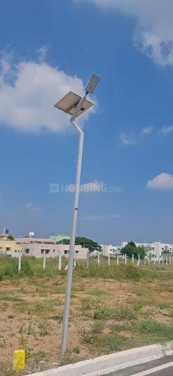 Karamadai Main Image 1