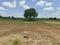Gauribidanur Plot View 2