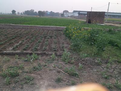 Image of 2400 Sq.ft Residential Plot / Land for sale in Gola Road, Patna for Rs. 10000000