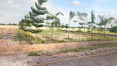 Image of 1800 Sq.ft Residential Plot / Land for sale in Barsana, Mathura for Rs. 7600000
