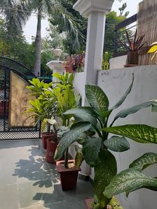 Balcony Image of 2800 Sq.ft 2 BHK Builder Floor for rent in Eldeco Greens, Gomti Nagar Lucknow for Rs. 22000