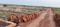 Patrapada Plot View 2