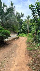 Image of 2613 Sq.ft Residential Plot / Land for sale in Shoranur, Palakkad for Rs. 1600000