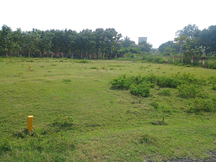 Alapakkam, Chengalpattu Main Image 1