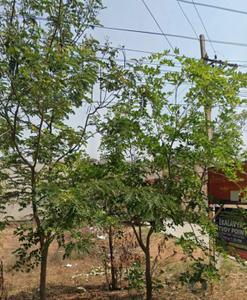 Image of 3096 Sq.ft Residential Plot / Land for sale in Ghanpur, Ghatkesar, Secunderabad for Rs. 10400000