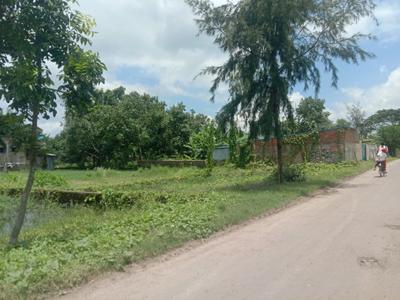 Residential plot Sonarpur Plot View 2