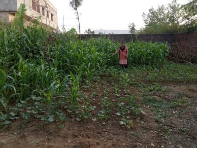 Image of 4357 Sq.ft Residential Plot / Land for sale in Chira Chas, Bokaro for Rs. 4300000