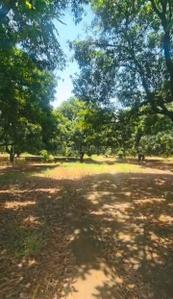 Image of 15828 Sq.ft Residential Plot / Land for sale in Garh Mukteshwar, Hapur for Rs. 40000000