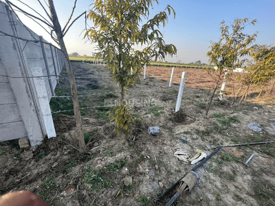 Image of 2070 Sq.ft Residential Plot / Land for sale in Tappal, Aligarh for Rs. 4500000
