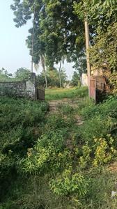 Image of 5184 Sq.ft Residential Plot / Land for sale in Pamarru, Krishna for Rs. 8640000