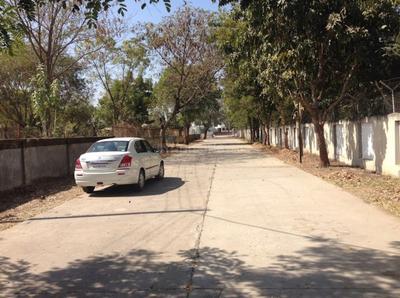 tulip chatets rancharda Plot View 2