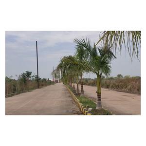 Image of 1210 Sq.ft Residential Plot / Land for sale in Vedanta City Phase 2, Dunda, Raipur for Rs. 2700000