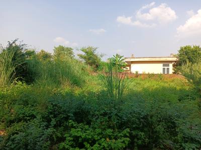 Image of 504 Sq.ft Residential Plot / Land for sale in Chi III, Greater Noida for Rs. 54500000