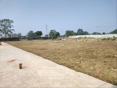 Tetartoli Plot View 3