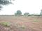 Perne Plot View 2