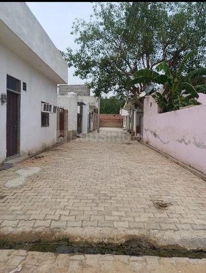 Royal green society Main Image 1