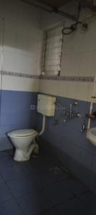 Bathroom Image of 1100 Sq.ft 2 BHK Apartment / Flat for rent in Vishrantwadi Pune for Rs. 30000