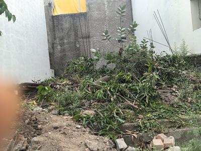 Divya Homes Plot View 3