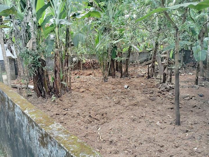 House plot Main Image 1