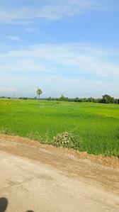 Image of 1089 Sq.ft Residential Plot / Land for sale in Ulwe, Navi Mumbai for Rs. 600000