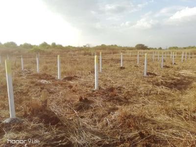 Image of 1089 Sq.ft Residential Plot / Land for sale in Uran, Navi Mumbai for Rs. 500000