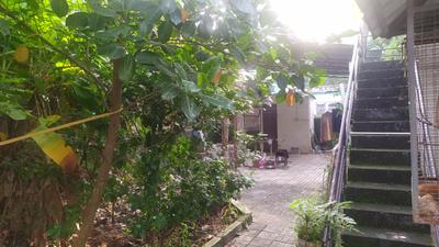 Image of 800 Sq.ft 3 BHK Independent House for sale in South Chittoor, Kochi for Rs. 7000000