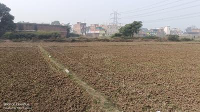 Beldari Chak Plot View 2