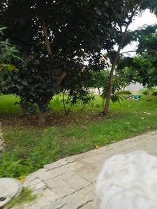 Image of 1000 Sq.ft Residential Plot / Land for sale in Omaxe Indore Greens Baliyakhedi, Mayakhedi, Indore for Rs. 5500000