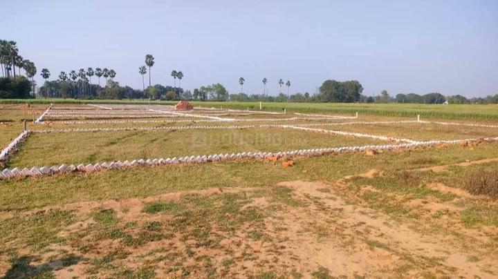 Bihta Main Image 1
