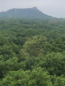 Image of 1380 Sq.ft 3 BHK Apartment / Flat for sale in Narsingi, Hyderabad for Rs. 11000000