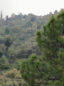Image of 6450 Sq.ft Residential Plot / Land for sale in Mukteshwar, Nainital for Rs. 2700000