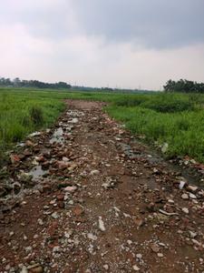 Nest Valley Internal Roads 1