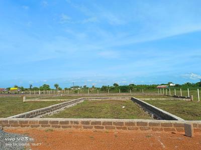 Image of 1000 Sq.ft Residential Plot / Land for sale in Naya Raipur, Raipur for Rs. 399999