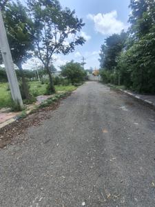 Ravalkole Plot View 3