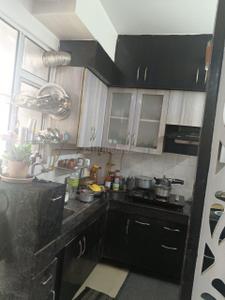1 BHK Flat