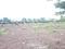 Perne Main Image 1
