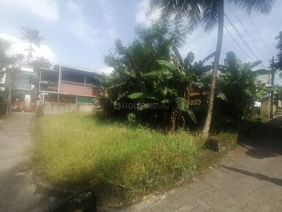Platinum Pearl and Coral Plot View 3