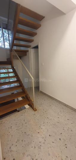 Sucorro Main Image 1