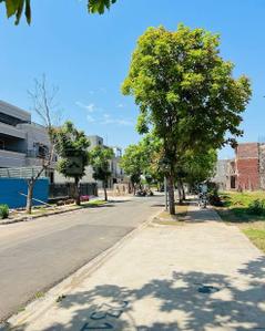 Image of 9000 Sq.ft Residential Plot / Land for sale in New Chandigarh, Chandigarh for Rs. 170000000